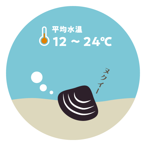 平均水温 12～24℃